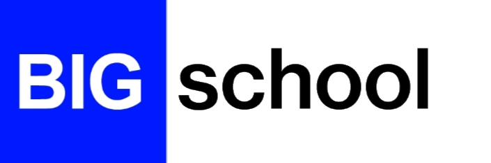 Logo de BIG school